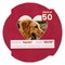 Red Suede Mat Board for 14x14 Frames - Heart Opening for 10x10 Photos